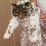 a cat covered in packing peanuts